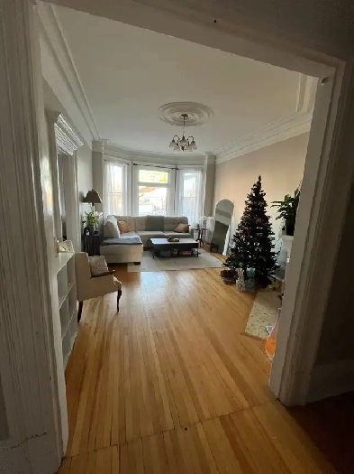 Uptown three bedroom apartment Image# 9