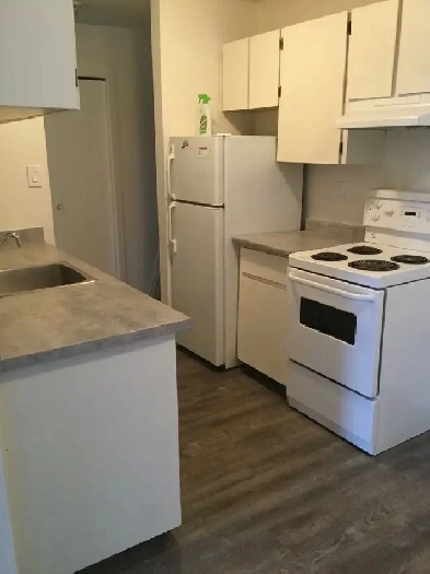 1 Bedroom Apartment in a Great Location