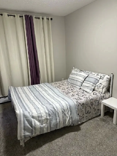 Private room for rent Image# 2