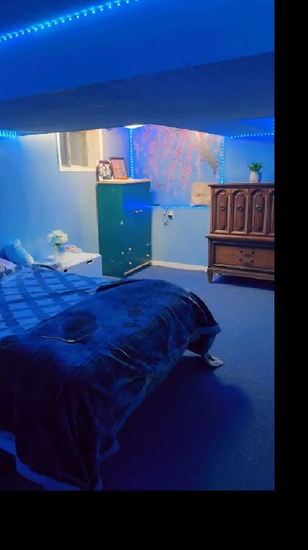 Huge Basement room available for 2 girls in Malton Image# 1