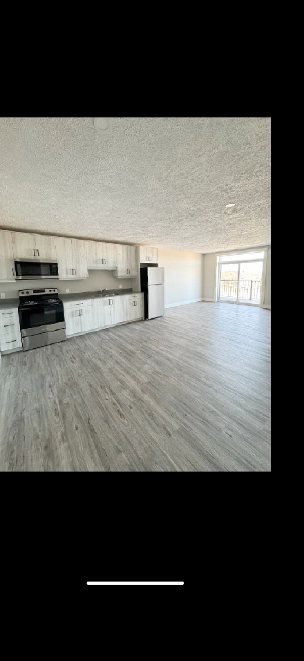 Beautiful 2 bedroom 1 Bathroom Brand New unit Image# 4