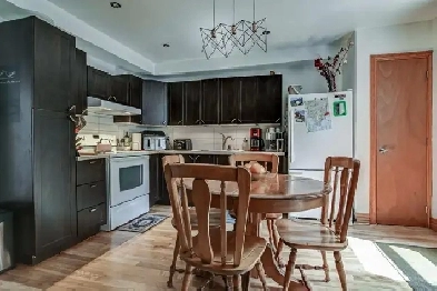 5 1/2 Pie IX College Maisonneuve Image# 1