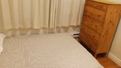 Furnished 1 bedroom apartment downtown Image# 1