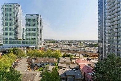 Apartment for Rent Image# 3