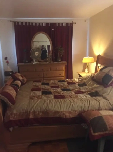 St-Hubert - 4 1/2 - 1 Février 2025 Image# 1