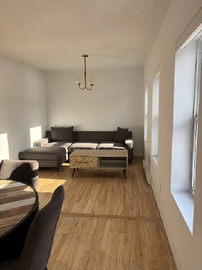 Superbe 3 1/2 rénové à neuf, meublé tout inclus LIBRE Image# 6