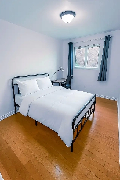 Room for rent near Scenca College Image# 1