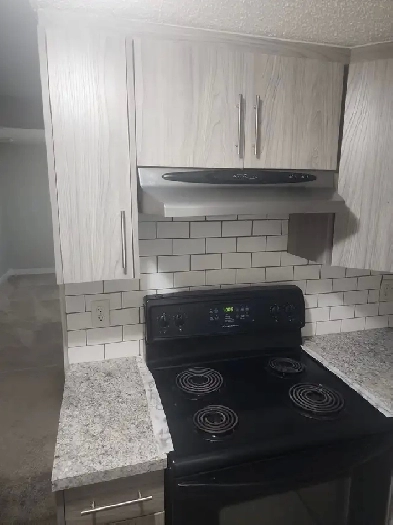 Basement - Near Saddletowne C-Train Station Image# 1