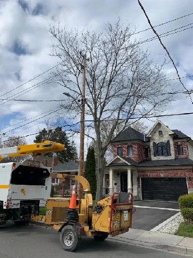 Executive Home In Burlington, Steps To Lake & Downtown, Feb.01 Image# 1