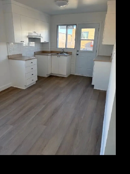 4 1/2 complètement rénové mtl. Nord un vrai bijou Image# 1