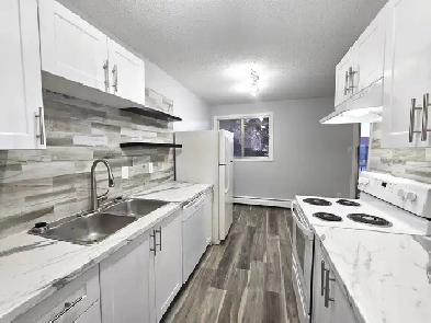 AMAZING FULLY RENO'D Apartment in Lacombe! CATS OK! Image# 16