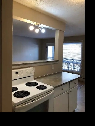 Amazing 2 Bedroom Top Floor Apartment! Image# 4