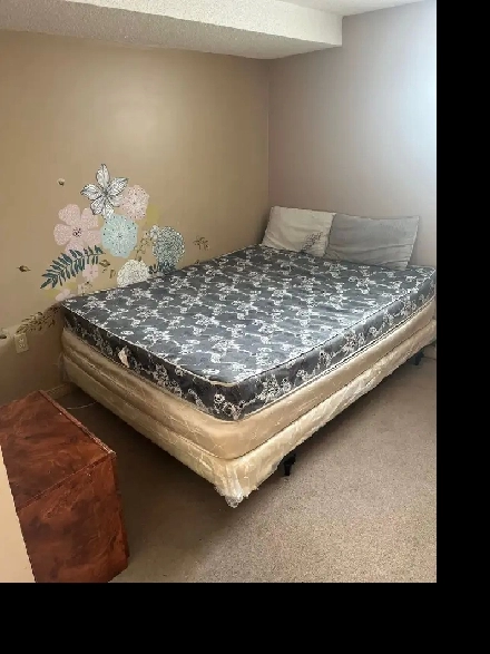 1 room for rent in basement Image# 1
