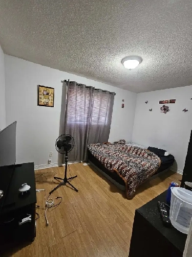 Two private  Rooms for Rent–For Girls Only–Clean & Peaceful Image# 1