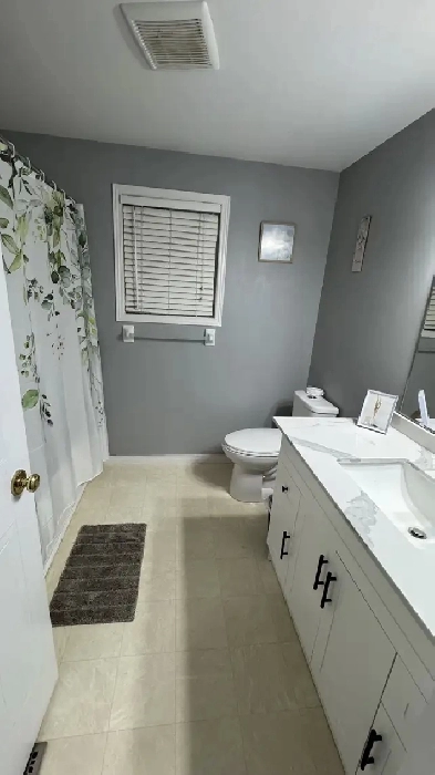 one bedroom rent Image# 2