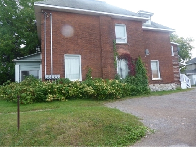 1 Bedroom Apt for Rent - Renfrew Image# 6