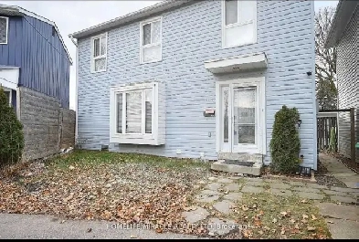 Basement for rent Image# 1