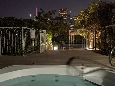 FURNISHED ROOM PVT BATHROOM IN DNTN CONDO W/ GREAT VIEW DEC 1 Image# 1