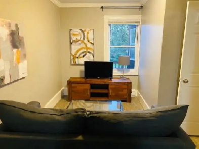 Furnished 2 Bdrm, 1 Bath, All In (Heat, Electricity, Internet) Image# 6