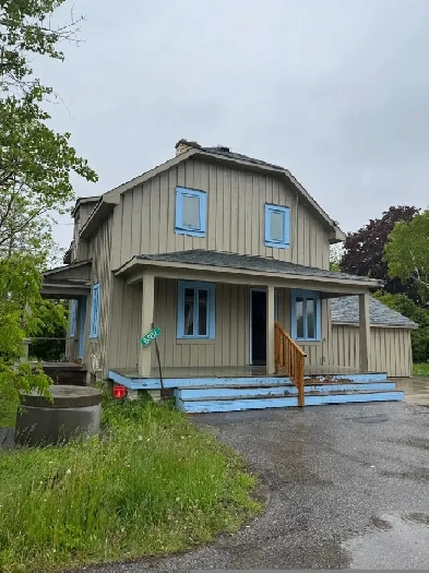 Room for Rent Image# 2