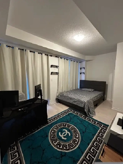 Private Furnished Room w/ Bathroom & Separate Entrance – Near D Image# 6