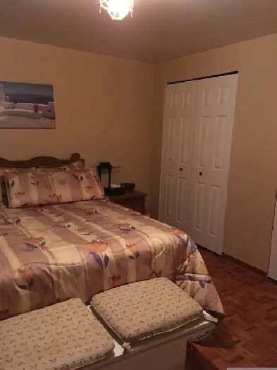 Sous sol a louer dans une maison privee de Brossard Image# 2