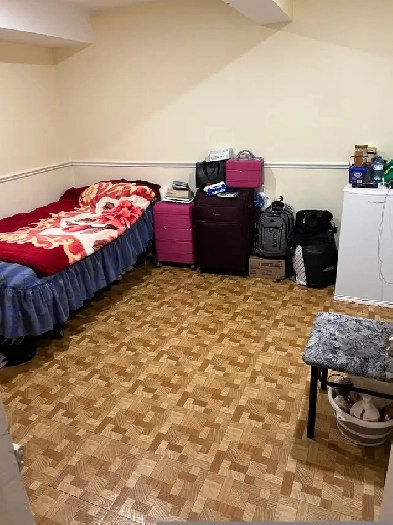 A separate room at basement for male at Scarborough, Morningside Image# 1