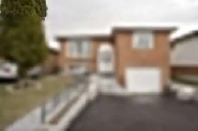 2- Bedroom/1- Washroom/Basement unit Mississauga (Malton) Image# 1