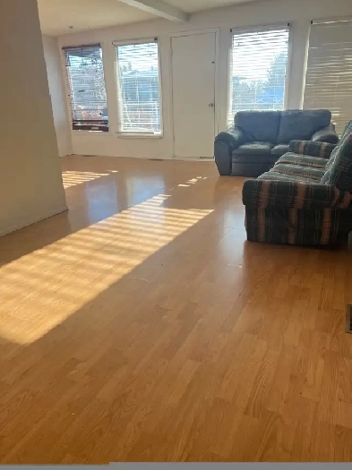 All Utilities & Wi-Fi included/ Balcony/ 5 min Franklin Ctrain Image# 1