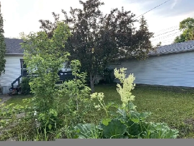 One Bedroom Basement Suite in a Prime Location Image# 5