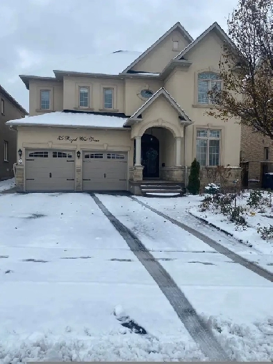 Basement for Rent Image# 1