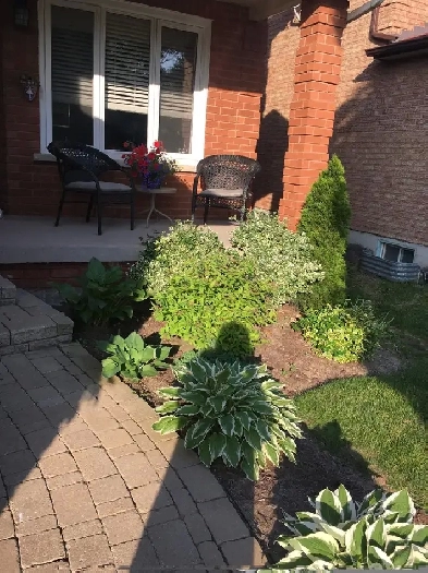 Basement One bedroom apartment at Collegeway/ Winston Churchill Image# 1