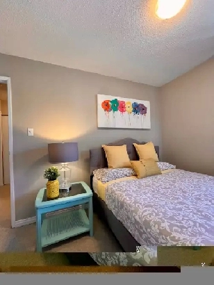 Furnished 3 Bedroom Townhouse - 780-729-9007 Image# 6