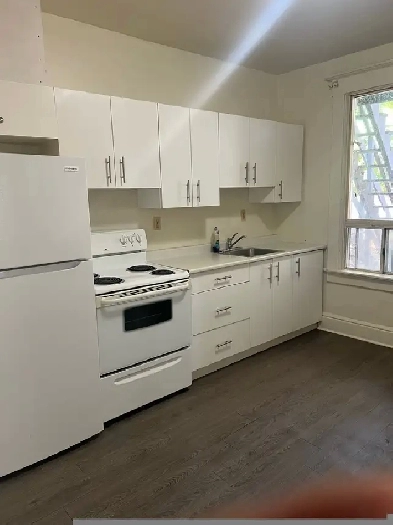 1 bedroom apartment for rent Image# 3