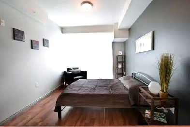 Private Bedroom with Private Bathroom at WLU & UW Image# 10