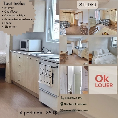 PLUSIEURS STUDIO - TOUT INCLUS ET MEUBLÉ Image# 2