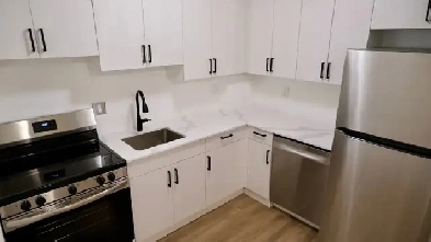 1-Bedroom Apartment Suite for Rent Available Immediately Image# 2