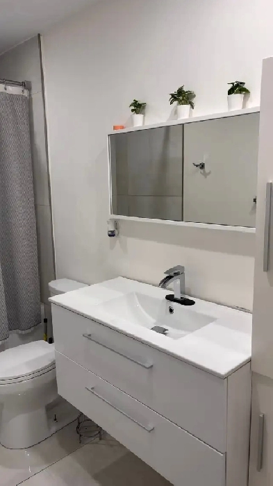 À louer – 5 ½  à Rosemont–La Petite-Patrie Image# 1