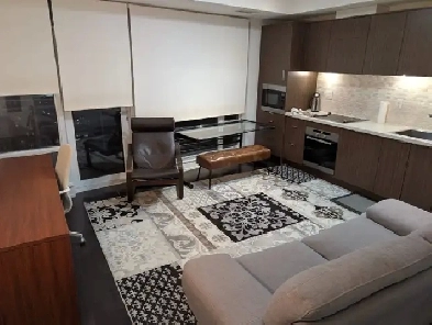 Furnished 1BR condo in Cinema Tower Downtown Toronto from Jan 1 Image# 1