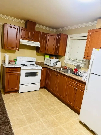 2 bedroom ground level basement for rent Image# 1