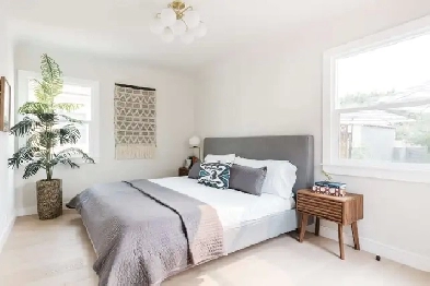 Looking for a room to rent Image# 1