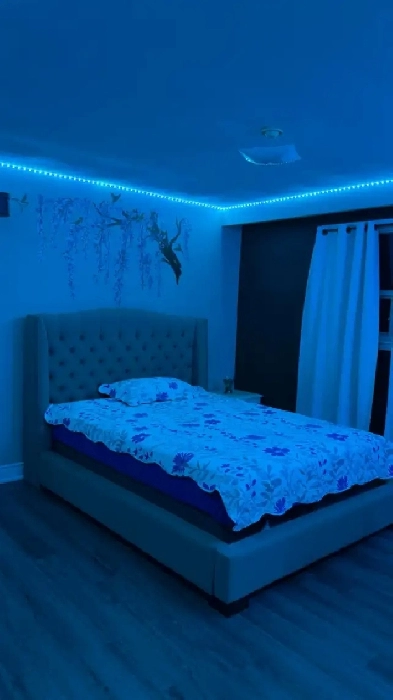 Master Bedroom on Main floor on rent in Malton from Jan 01 Image# 1