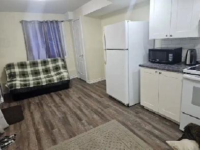 One Bedroom Cozy Basement Apartment (Currently Vacant) Image# 10