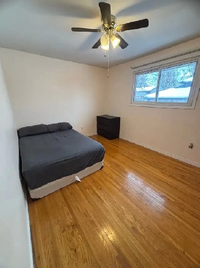 Rooms for Rent Image# 3