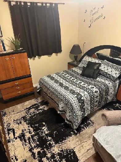 Bachelor for rent Image# 4