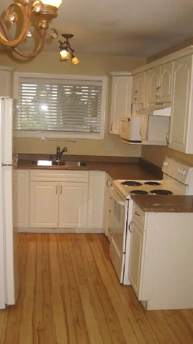 $750 OFF 1ST MONTH RENT BEAUTIFUL 3BDRM 1.5 BATH MAIN FLOOR HOME Image# 2