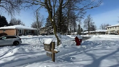 1 bedroom apartment in Lakeshore area available January 1526