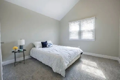 1883 Dumont B Image# 16