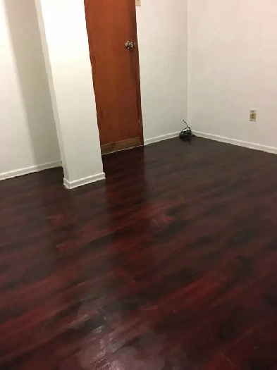 4 min walk to Lions Park Ctrain/North Hill Mall/6 min Downtown Image# 4