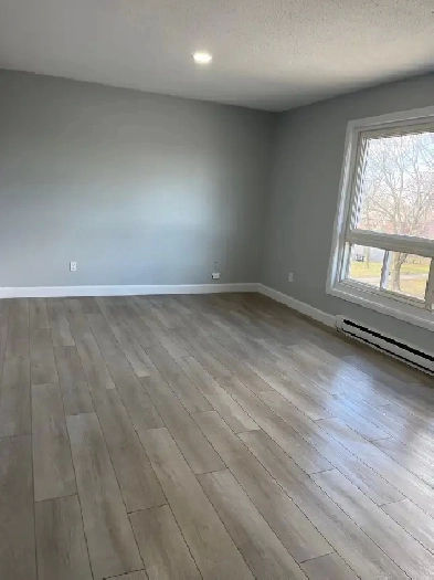 2 Bedroom Apt - Newly Renovated - FIRST MONTH FREE Image# 4